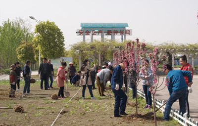 徐州國(guó)禎開(kāi)展植樹(shù)活動(dòng)