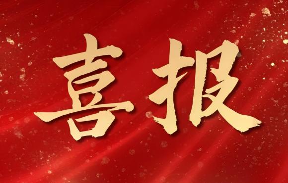 TOP 12！中節(jié)能國禎榮登中國品牌價值 “其他服務(wù)類”